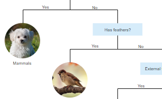 diagrams.diagram-templates.dichotomous-key