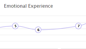 Customer Journey Map (CJM)