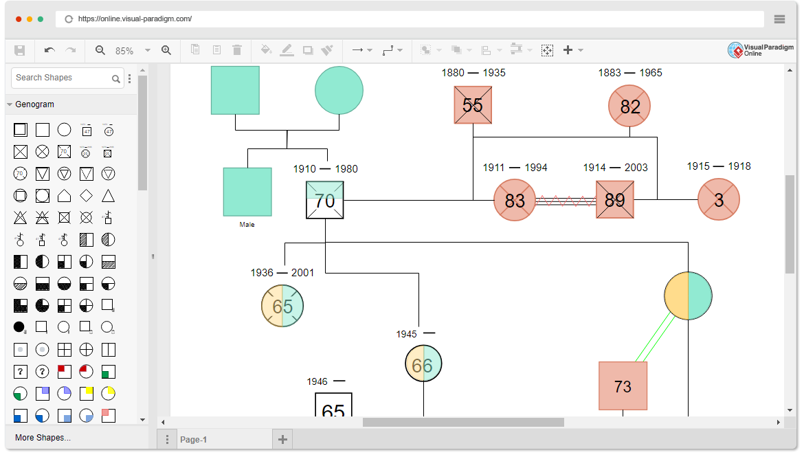 Genogram Software